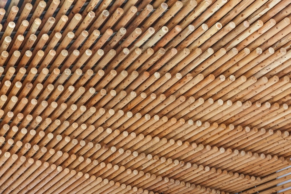 1556503246993424.jpg
